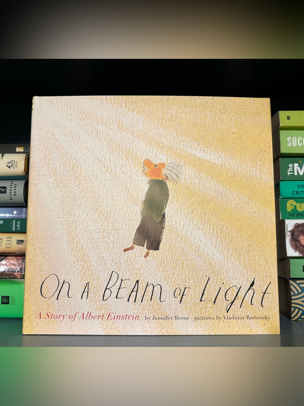 On a Beam of Light by Jennifer Berne